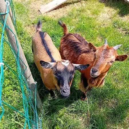 Clos A Malypense Chez Mr Montamat * Galan