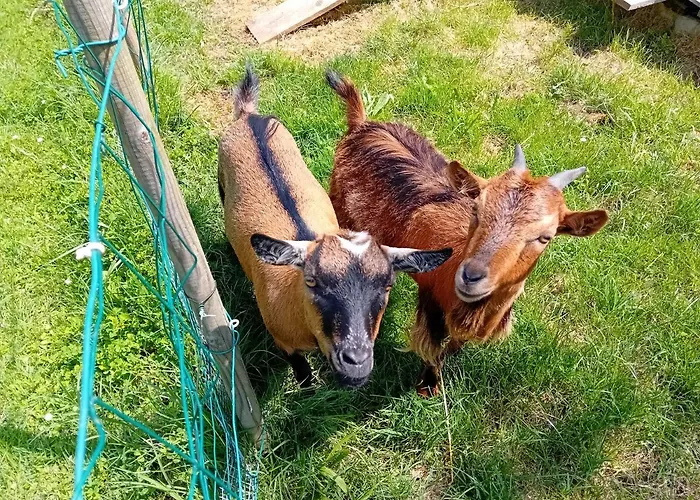 Clos A Malypense Chez Mr Montamat * Galan