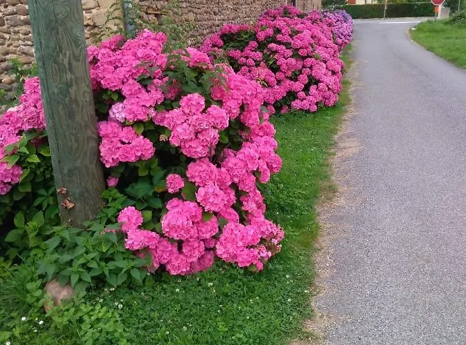 Alloggio in famiglia Clos A Malypense Chez Mr Montamat Galan