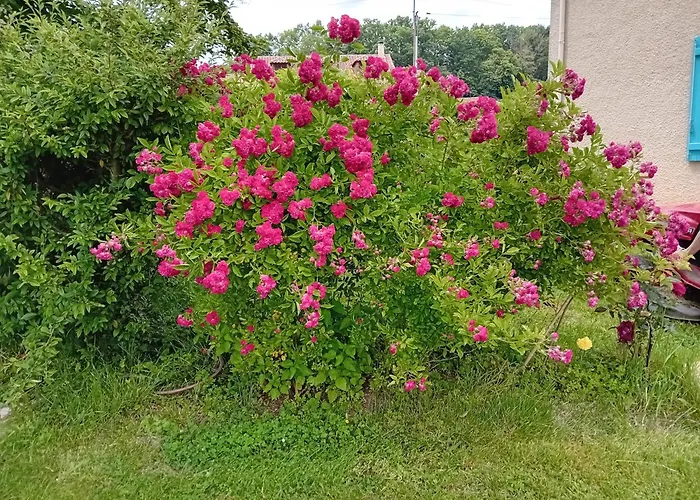 Clos A Malypense Chez Mr Montamat Alloggio in famiglia Galan