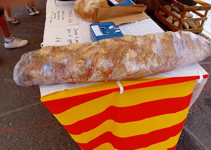 Clos A Malypense Chez Mr Montamat *