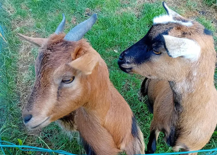 Clos A Malypense Chez Mr Montamat