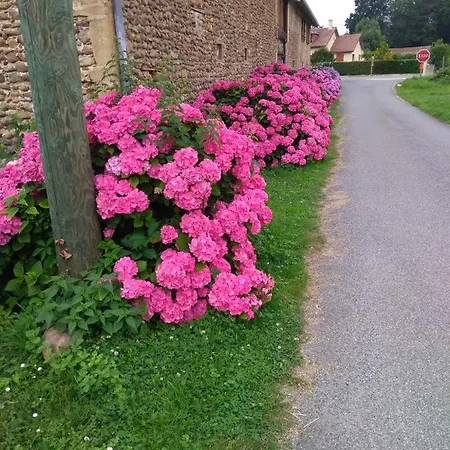 Pansiyon Clos A Malypense Chez Mr Montamat Galan