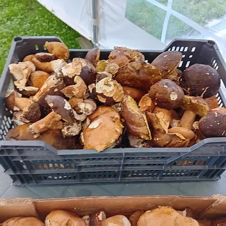 Pansiyon Clos A Malypense Chez Mr Montamat Galan